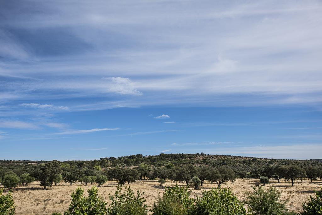 Herdade Dos Alfanges "The Barn" Viana do Alentejo Zewnętrze zdjęcie